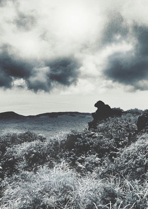 Advanced professional auto glass replacement work demonstrating expertise